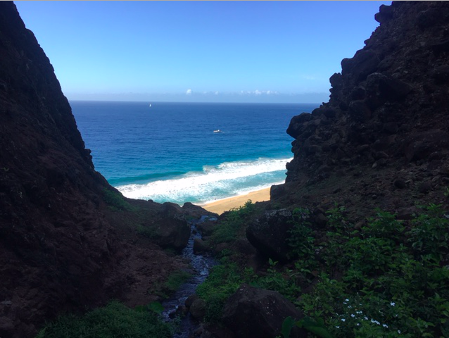 Sunny beach and beautiful ocean in Kauai